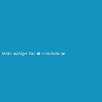 Mittelmäßiger Granit-Handschuhe